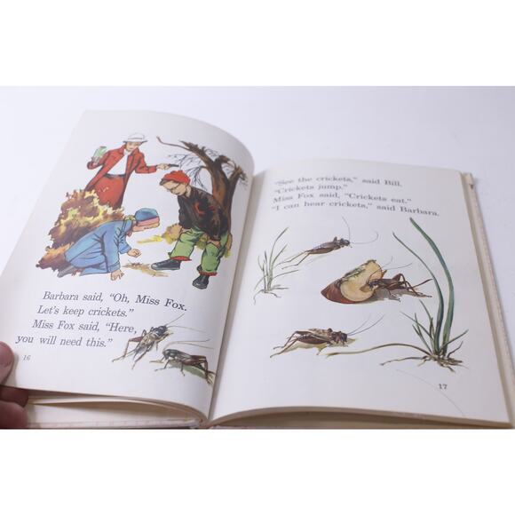 Let's Try, Science And Conservation, Picture Book, 1957, Vintage, ~ 250113-WH 56 - Picture 3 of 4